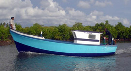 NM28 Multi Day Fishing Boat MK1